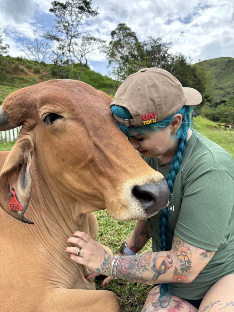 Amor entre pessoa e vaca, conexão emocional e respeito na fazenda de tofu UAI Tofu.