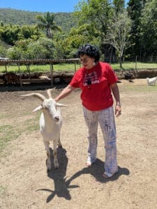 1. Cabra branca em fazenda com natureza e árvores ao fundo.